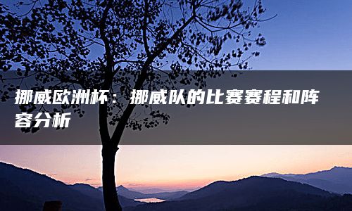 挪威欧洲杯：挪威队的比赛赛程和阵容分析